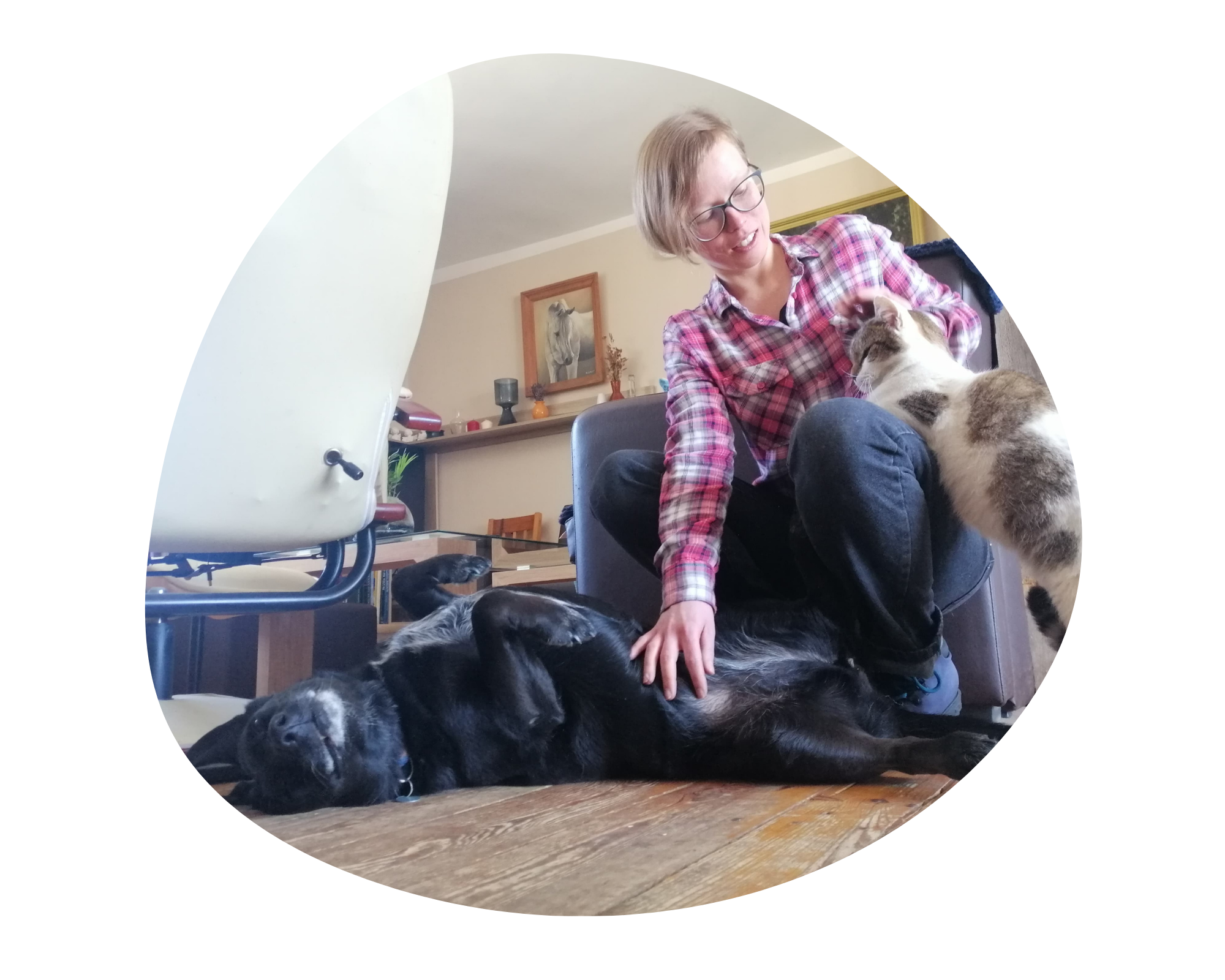 zdjęcia: Marta Gandzia i Stokrotka